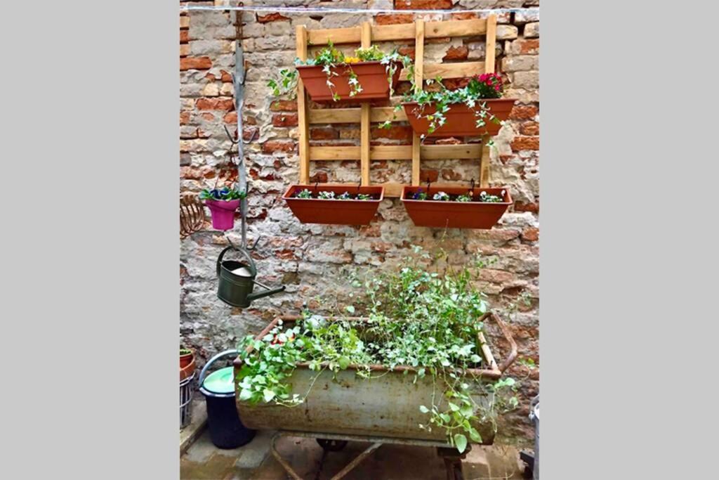 Il Buco Della Suora Apartamento